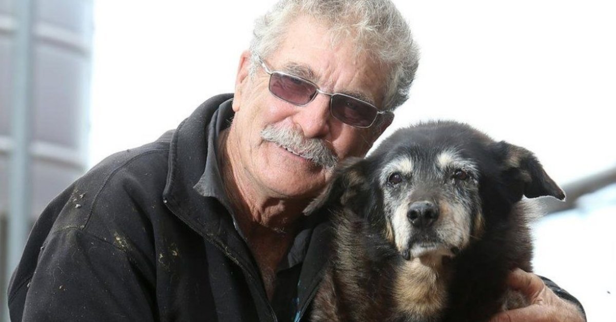 The Oldest Dog In The World Has Passed Away